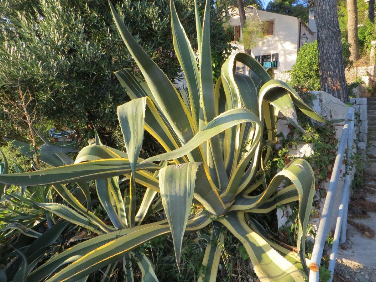 Apartma Sunshine