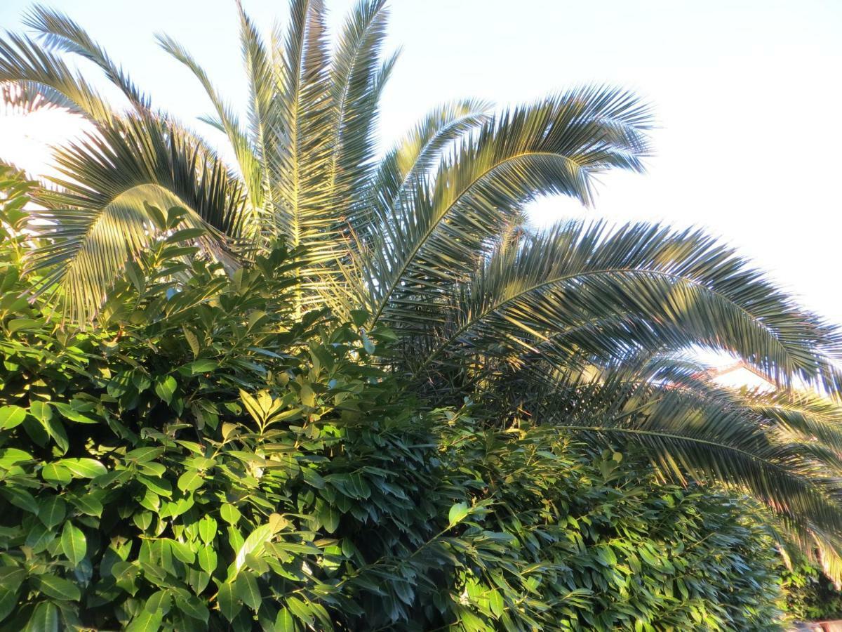 Apartma Sunshine